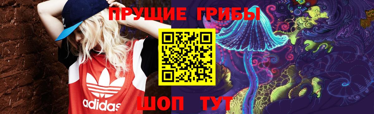 Псилоцибиновые грибы мицелий  Псилоцибиновые грибы Psilocybe  Котовск  Вход с VPN 