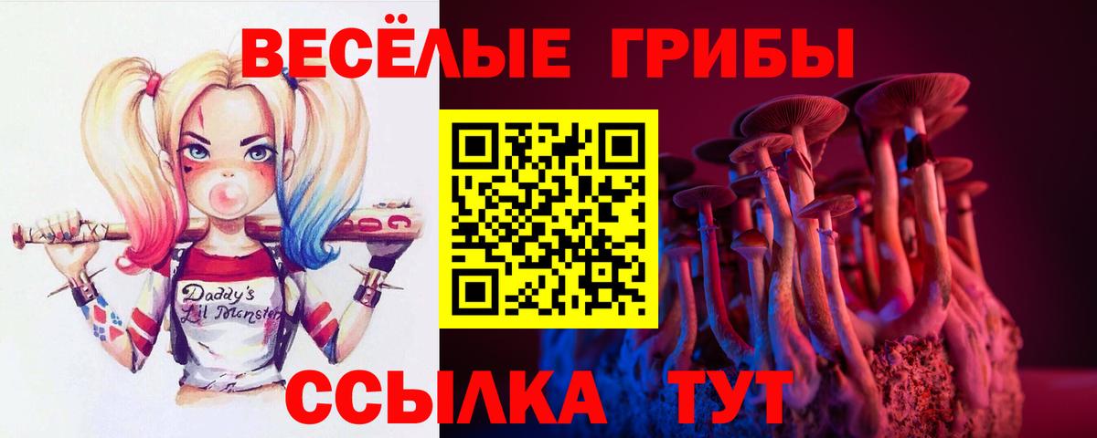 Галлюциногенные грибы Magic Shrooms Котовск